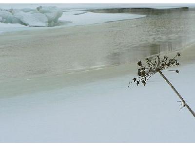 Photo Melting Ice Landscape