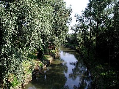 Photo River Landscape