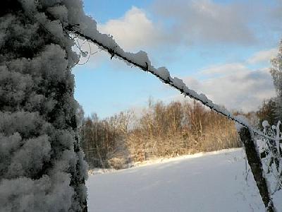 Photo Snowy Barbwire Fence Landscape