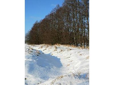 Photo Water Stream Hidden Under Snow Landscape