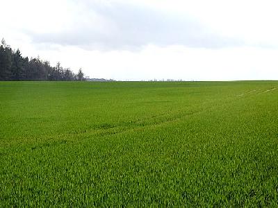 Photo Field 26 Landscape
