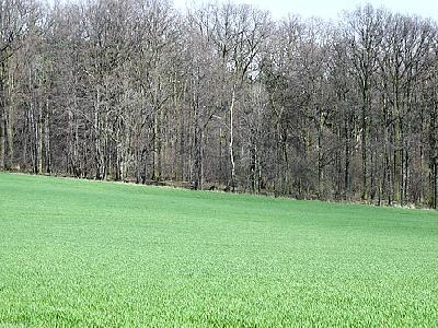 Photo Field 34 Landscape