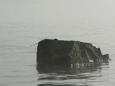 Photo Lake Rock In Morning Mist Landscape