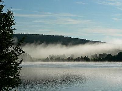 Photo Morning Mist Over Lake Landscape