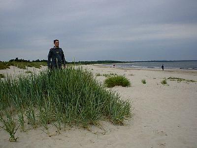 Photo On The Beach Ocean