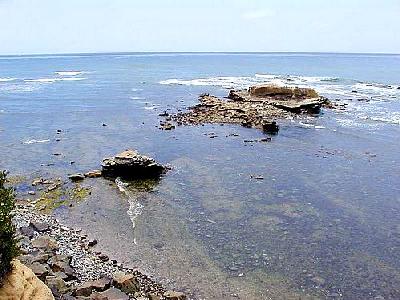 Photo Bird Rock Ocean