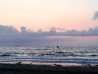 Photo Sunset 4 Ocean