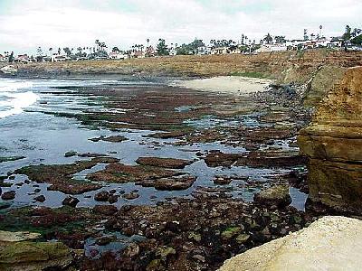 Photo Tide Pools Ocean