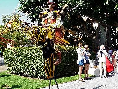 Photo Stilt Bird Guy People