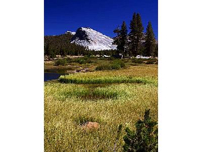 Photo Yosemite National Park Travel