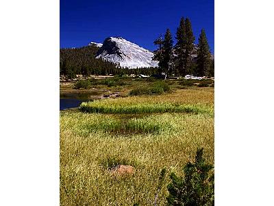 Photo Yosemite National Park Travel