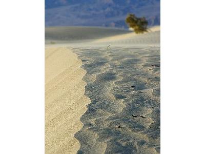 Photo Dunes Travel