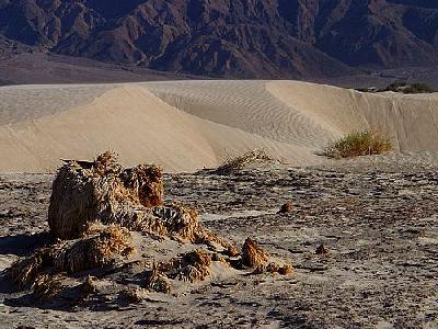 Photo Dunes At Sunset Travel