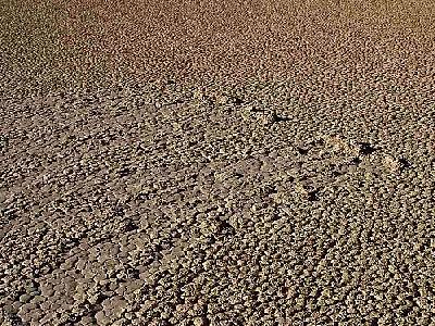 Photo Mud Tracks 2 Travel