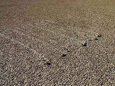 Photo Mud Tracks 3 Travel