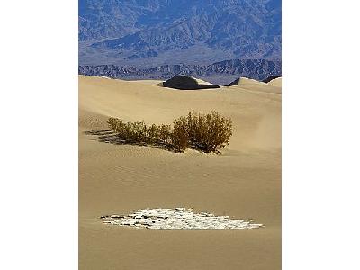 Photo Sand And Tree Travel