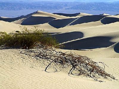 Photo Sand Dunes 7 Travel