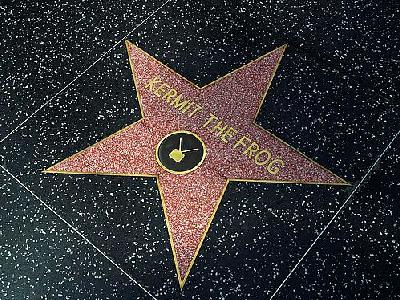 Photo Hollywood Stars Kermit The Frog Travel