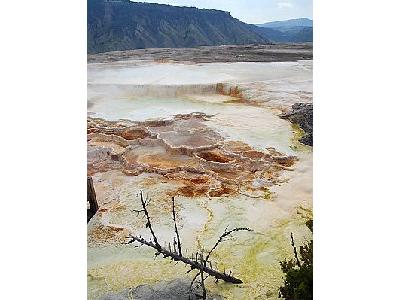 Photo Mammoth Hot Springs 4 Travel