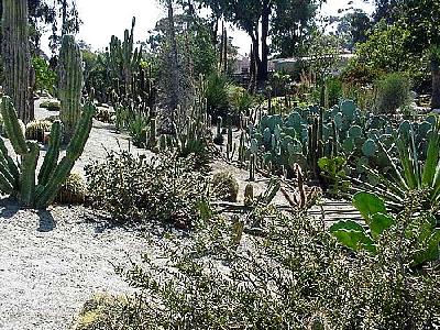 Photo Cactus Garden Travel