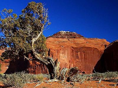 Photo Monument Valley Travel