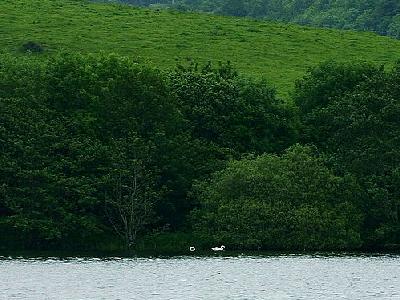 Photo Lough Gill 2 Travel