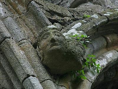 Photo Rock Of Cashel 9 Travel