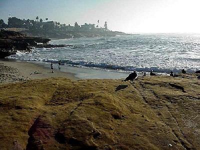 Photo La Jolla Cove 6 Travel