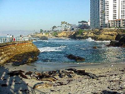 Photo La Jolla Cove 9 Travel