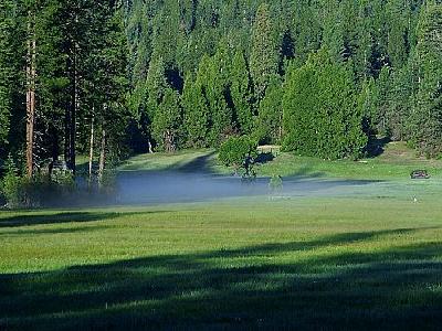 Photo Meadow 4 Travel