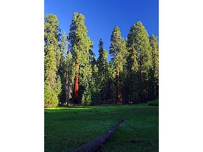 Photo Round Meadow Travel