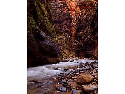 Photo Zion Narrows Travel