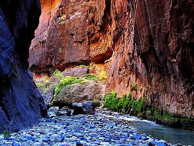 Photo Zion Narrows 11 Travel