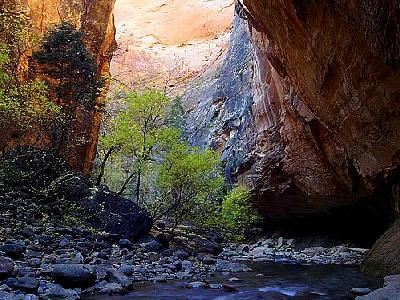 Photo Zion Narrows 13 Travel