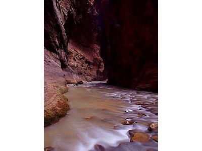 Photo Zion Narrows 14 Travel