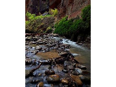 Photo Zion Narrows 15 Travel