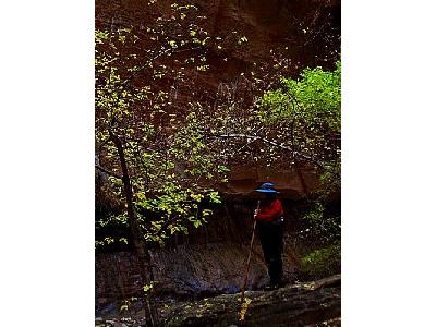 Photo Zion Narrows 2 Travel