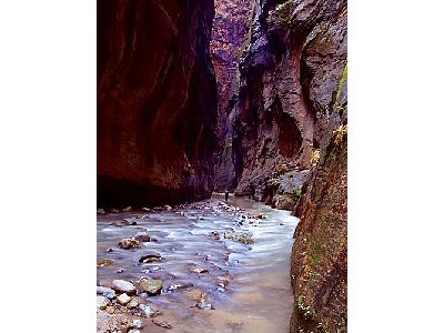 Photo Zion Narrows 4 Travel