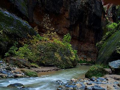 Photo Zion Narrows 9 Travel