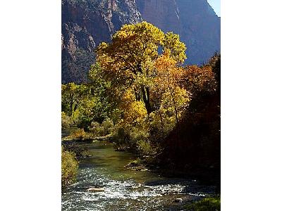 Photo Zion National Park 3 Travel