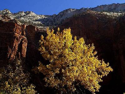 Photo Zion National Park 4 Travel