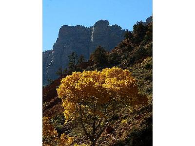 Photo Zion National Park 7 Travel