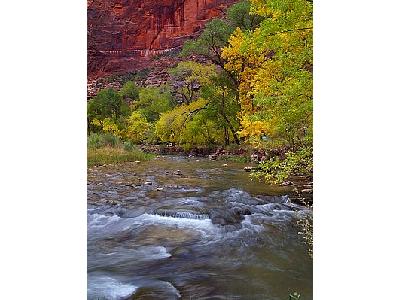 Photo Zion.canyon Travel