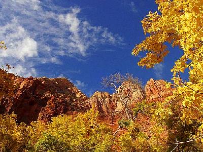 Photo Zion National Park 14 Travel