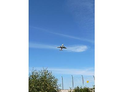 Photo Airplane Taking Off 4 Vehicle