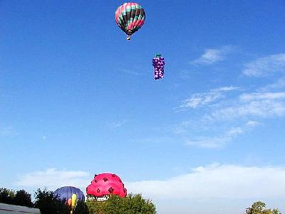 Photo Balloons Vehicle