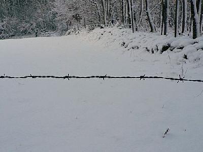 Photo Barbed Wire Other