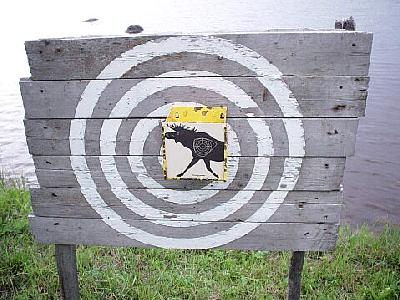 Photo Elk Target Other