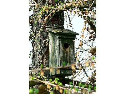 Photo Old Wooden Nesting Box Other