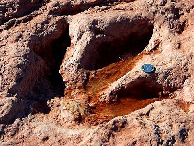 Photo Dinosaur Tracks Other